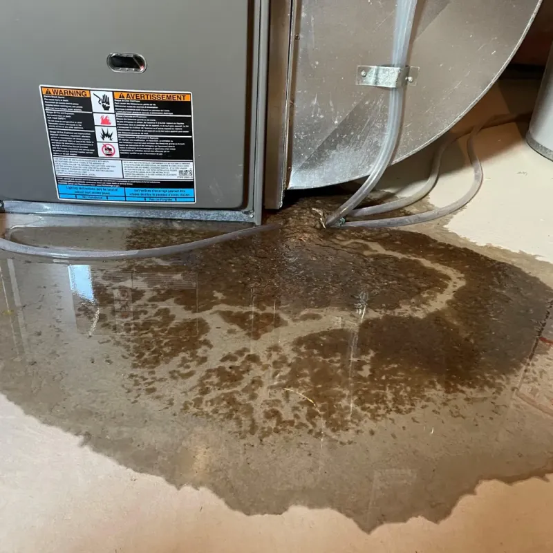 Appliance Leak Cleanup in Hanapepe, HI