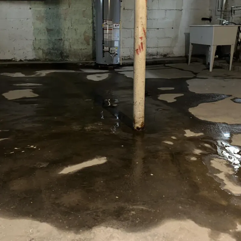 Emergency Water Extraction And Removal in Hanapepe, HI